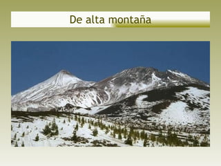 De alta montaña 