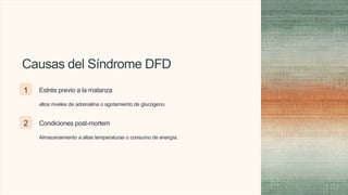 Causas del Síndrome DFD
1 Estrés previo a la matanza
altos niveles de adrenalina o agotamiento de glucógeno.
2 Condiciones post-mortem
Almacenamiento a altas temperaturas o consumo de energía.
 
