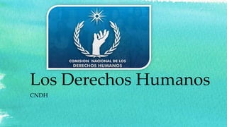Los Derechos Humanos
CNDH
 
