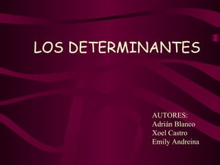 LOS DETERMINANTES AUTORES: Adrián Blanco Xoel Castro Emily Andreina 