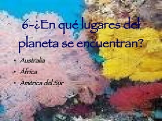 6-¿En qué lugares del planeta se encuentran? Australia África América del Sur 