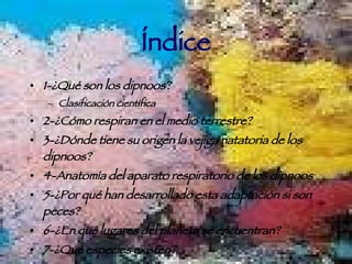 Índice 1-¿Qué son los dipnoos? Clasificación científica 2-¿Cómo respiran en el medio terrestre? 3-¿Dónde tiene su origen la vejiga natatoria de los dipnoos? 4-Anatomía del aparato respiratorio de los dipnoos 5-¿Por qué han desarrollado esta adaptación si son peces? 6-¿En qué lugares del planeta se encuentran? 7-¿Qué especies existen? 8-Caracterización de las especies 