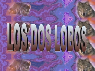 LOS DOS LOBOS 