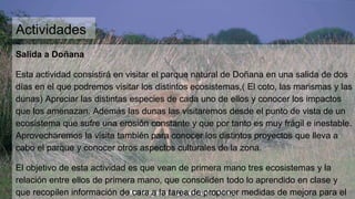 Actividades
Salida a Doñana
Esta actividad consistirá en visitar el parque natural de Doñana en una salida de dos
días en el que podremos visitar los distintos ecosistemas,( El coto, las marismas y las
dunas) Apreciar las distintas especies de cada uno de ellos y conocer los impactos
que los amenazan. Además las dunas las visitaremos desde el punto de vista de un
ecosistema que sufre una erosión constante y que por tanto es muy frágil e inestable.
Aprovecharemos la visita también para conocer los distintos proyectos que lleva a
cabo el parque y conocer otros aspectos culturales de la zona.
El objetivo de esta actividad es que vean de primera mano tres ecosistemas y la
relación entre ellos de primera mano, que consoliden todo lo aprendido en clase y
que recopilen información de cara a la tarea de proponer medidas de mejora para el
 