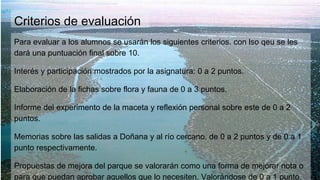Criterios de evaluación
Para evaluar a los alumnos se usarán los siguientes criterios. con lso qeu se les
dará una puntuación final sobre 10.
Interés y participación mostrados por la asignatura: 0 a 2 puntos.
Elaboración de la fichas sobre flora y fauna de 0 a 3 puntos.
Informe del experimento de la maceta y reflexión personal sobre este de 0 a 2
puntos.
Memorias sobre las salidas a Doñana y al río cercano. de 0 a 2 puntos y de 0 a 1
punto respectivamente.
Propuestas de mejora del parque se valorarán como una forma de mejorar nota o
para que puedan aprobar aquellos que lo necesiten. Valorándose de 0 a 1 punto.
 