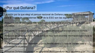 ¿Por qué Doñana?
La razón por la que elegí el parque nacional de Doñana para usarlo como recurso
para el bloque de ecosistemas de 3º de la ESO son las siguientes.
-Porque es uno de los lugares más emblemáticos de España en cuanto a la protección de la
naturaleza.
-Porque es un mosaico de ecosistemas que albergan una biodiversidad única en Europa.
-Porque al ser un parque Natural muy activo es muy facill encontrar información sobre toda la
flora y fauna del parque.
-Por la variedad de rutas disponibles y por su flexible oferta a la hora de planear rutas y
actividades en el parque.
-Porque en Doñana son pioneros en programas de conservación de la naturaleza y los
 