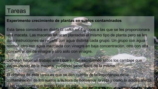 Tareas
Experimento crecimiento de plantas en suelos contaminados
Esta tarea consistira en dividir la calse en 4 grupos a las que se les proporcionara
una maceta. Las macetas lelvaran plantadas el mismo tipo de planta pero se les
dara instrucciones de regarla con agua distinta cada grupo. Un grupo con agua
normal, otro con agua mezclada con vinagre en baja concentración, otro con alta
concentración de vinagre y otro solo con vinagre.
Deberan hacer un trabajo ene l que vayan escribiendo todos los cambios que
vayan viendo en la maceta, pudiendo sacar fotos de la misma.
El objetivo de esta tarea es que se den cuenta de la importancia de la
contaminación de los suelos a la hora de conservar la vida y como la acidez afecta
a las reacciones que tienen lugar en este.
 