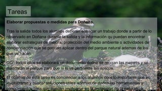 Tareas
Elaborar propuestas o medidas para Doñana.
Tras la salida todos los alumnos deberán entregar un trabajo donde a partir de lo
observado en Doñana durante la salida y la información qu puedan encontrar
elaborar estrategias de mejora, protección del medio ambiente o actividades de
concienciación que se podrían aplicar dentro del parque natural ademas de los
que ya hacen.
COn todos ellos se elaborará un documento dodne se recojan las mejores y se
mandaran al parque para que si lo ve pertinente las aplique.
El objetivo de esta tarea es concienciar a los alumnos obre lo importante que es
involucrarse y buscar soluciones utiles ademas de darles las herramientas y
conocimientos para que puedan implicarse en la protección de la naturaleza
 