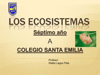 Los ecosistemas Séptimo año  A COLEGIO SANTA EMILIA 1 Profesor Waldo Lagos Fibla 