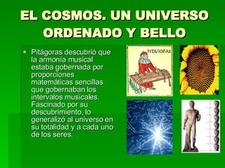 EL COSMOS. UN UNIVERSO ORDENADO Y BELLO Pitágoras descubrió que la armonía musical estaba gobernada por proporciones matemáticas sencillas que gobernaban los intervalos musicales. Fascinado por su descubrimiento, lo generalizó al universo en su totalidad y a cada uno de los seres. 