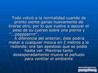 Todo volvió a la normalidad cuando de
    pronto siente ganas nuevamente de
tirarse otro, por lo que vuelve a apoyar el
   peso de su cuerpo sobre una pierna y
”...pppppprrrr".
    A diferencia del anterior, éste podría
matar a cualquier mosca en 2 metros a la
 redonda; era tan apestoso que se podía
          hasta ver. Mientras tanto
   desesperadamente mueve el pañuelo
          para ventilar el ambiente
 
