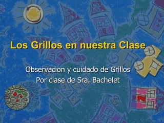 Los Grillos en nuestra Clase Observacion y cuidado de Grillos Por clase de Sra. Bachelet 