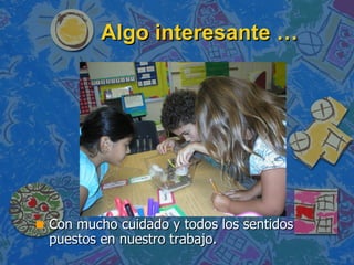 Algo interesante … Con mucho cuidado y todos los sentidos puestos en nuestro trabajo. 