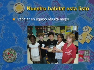 Nuestro habitat esta listo Trabajar en equipo resulta mejor. 