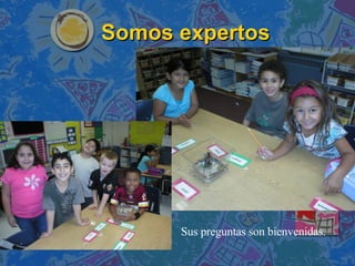 Somos expertos Sus preguntas son bienvenidas. 
