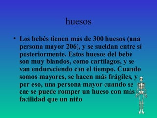 huesos Los bebés tienen más de 300 huesos (una persona mayor 206), y se sueldan entre sí posteriormente. Estos huesos del bebé son muy blandos, como cartílagos, y se van endureciendo con el tiempo. Cuando somos mayores, se hacen más frágiles, y por eso, una persona mayor cuando se cae se puede romper un hueso con más facilidad que un niño                                                                                                                   