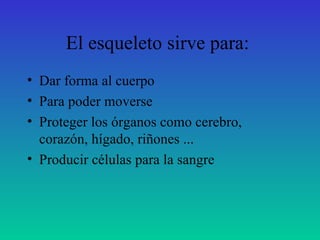 El esqueleto sirve para:  Dar forma al cuerpo Para poder moverse Proteger los órganos como cerebro, corazón, hígado, riñones ... Producir células para la sangre 