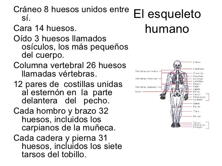 La osteocondrosis sheynogo de la columna vertebral protruziya la gimnasia