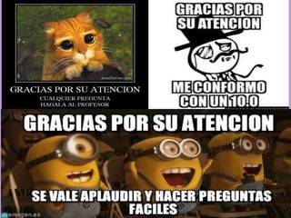 Los incas exposición.