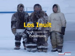 Los Inuit También conocidos como: Esquimales 