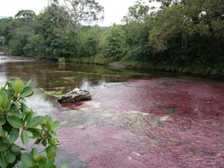 Los llanos-orientales-milespowerpoints.com
