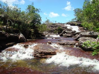 Los llanos-orientales-milespowerpoints.com