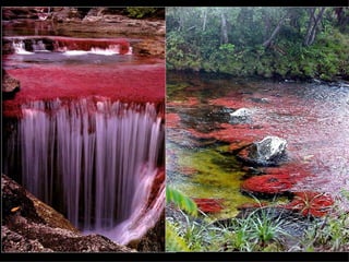 Los llanos-orientales-milespowerpoints.com