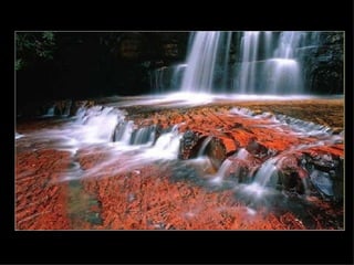 Los llanos-orientales-milespowerpoints.com