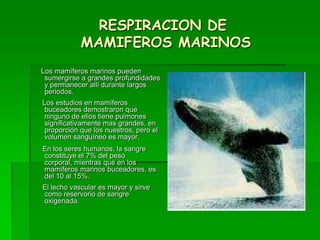 RESPIRACION DE
MAMIFEROS MARINOS
Los mamíferos marinos pueden
sumergirse a grandes profundidades
y permanecer allí durante largos
periodos.
Los estudios en mamíferos
buceadores demostraron que
ninguno de ellos tiene pulmones
significativamente mas grandes, en
proporción que los nuestros, pero el
volumen sanguíneo es mayor.
En los seres humanos, la sangre
constituye el 7% del peso
corporal, mientras que en los
mamíferos marinos buceadores, es
del 10 al 15%.
El lecho vascular es mayor y sirve
como reservorio de sangre
oxigenada.
 