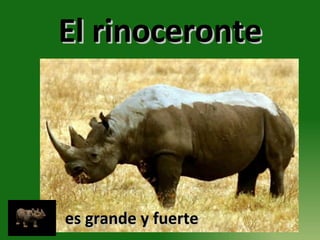 El rinoceronte es grande y fuerte 