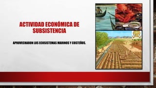 ACTIVIDAD ECONÓMICA DE
SUBSISTENCIA
APROVECHARON LOS ECOSISTEMAS MARINOS Y COSTEÑOS.
 
