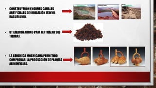 • CONSTRUYERON ENORMES CANALES
ARTIFICIALES DE IRRIGACIÓN (TAYMI,
RACURRUMI).
• UTILIZARON ABONO PARA FERTILIZAR SUS
TIERRAS.
• LA CERÁMICA MOCHICA HA PERMITIDO
COMPROBAR LA PRODUCCIÓN DE PLANTAS
ALIMENTICIAS.
 