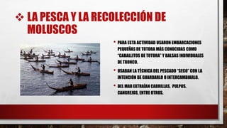  LA PESCA Y LA RECOLECCIÓN DE
MOLUSCOS
• PARA ESTA ACTIVIDAD USARON EMBARCACIONES
PEQUEÑAS DE TOTORA MÁS CONOCIDAS COMO
“CABALLITOS DE TOTORA” Y BALSAS INDIVIDUALES
DE TRONCO.
• USABAN LA TÉCNICA DEL PESCADO “SECO” CON LA
INTENCIÓN DE GUARDARLO O INTERCAMBIARLO.
• DEL MAR EXTRAÍAN CABRILLAS, PULPOS,
CANGREJOS, ENTRE OTROS.
 