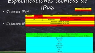Especificaciones técnicas de
IPv6
• Caberece IPv4
• Cabecera IPv6
 