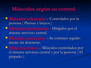Músculos según su control.  Músculos   voluntarios   – Controlados por la persona ( Piernas y brazos ) Músculos involuntarios   - Dirigidos por el sistema nervioso central. Músculos   autónomos   – Se contraen regular- mente sin detenerse. Músculos mixtos  – Músculos controlados por el sistema nervioso central y por la persona ( El párpado ). 