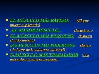 EL MÚSCULO MÁS RÁPIDO:   (Él que mueve el párpado) EL MAYOR MÚSCULO:   (El glúteo ) EL MÚSCULO MÁS PEQUEÑO :   (Está en el oído interno) LOS MÚSCULOS  MÁS PODEROSOS :  (Están a lo largo de la columna vertebral) El MÚSCULO MÁS TRABAJADOR :   ( Los músculos de nuestro corazón) 