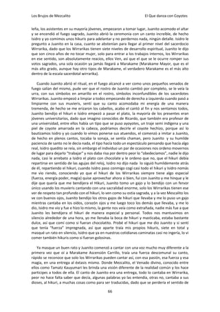 Los Brujos de Mezcalito                                              El Que danza con Coyotes


leña, los asistentes en su mayoría jóvenes, empezaron a tomar lugar, Juanito acomodo el altar
y se encendió el fuego sagrado, Juanito abrió la ceremonia con un canto increíble, de hecho
Isidro y yo comimos unos hikuris para adelantar y no perdernos nada, ningún detalle. Isidro le
pregunto a Juanito en la casa, cuanto se abstenían para llegar al primer nivel del sacerdocio
Wirrarika, dado que los Wirrarikas tienen siete niveles de desarrollo espiritual, Juanito le dijo
que son cinco años de no tocar mujer, solo para entrar a los trabajos internos, los Wirrarikas
en ese sentido, son absolutamente reacios, ellos Ven, así que el que se le ocurre romper sus
votos sagrados, una sola ocasión ya jamás llegará a Marakame (Marakame Mayor, que es el
más alto grado, aunque hay otro tipos de Marakame, el verdadero Marakame es el más alto
dentro de la escala sacerdotal wirrarika).

    Cuando Juanito abrió el ritual, en el fuego alcancé a ver como unos pequeños venados de
fuego salían del mismo, pude ver que el rostro de Juanito cambió por completo, se le veía la
urra, con sus símbolos en amarillo en el rostro, símbolos inconfundibles de los sacerdotes
Wirrarikas. Juanito empezó a limpiar a todos empezando de derecha a izquierda cuando pasó a
limpiarme con sus muvieris, sentí que su canto acomodaba mi energía de una manera
tremenda, de hecho se me erizaron los cabellos, acabo el cantó al fin y nos sentamos todos,
Juanito bendijo el hikuri e Isidro empezó a pasar el plato, la mayoría de los presentes eran
jóvenes universitarios, dado que imagino conocidos de Ricardo, que también era profesor de
una universidad, entre ellos había un tipo que se puso ayoyotes, un traje semi indígena y una
piel de coyote amarrada en la cabeza, podríamos decirle el coyote hechizo, porque así lo
bautizamos Isidro y yo cuando lo vimos ponerse sus atuendos, el comenzó a imitar a Juanito,
de hecho en plenos cantos, tocaba la sonaja, se sentía chaman, pero Juanito y su humilde
paciencia de santo no le decía nada, el tipo hacía todo un espectáculo pensando que hacía algo
real, Isidro quedito se reía, sin embargo el individuo un par de ocasiones nos ordeno movernos
de lugar para dejarlo “trabajar” y nos daba risa por dentro peor lo “obedecíamos”, nadie le dijo
nada, casi le arrebato a Isidro el plato con chocolate y le ordeno que no, que el hikuri debía
repartirse en sentido de las agujas del reloj, Isidro no dijo nada lo siguió humildemente atrás
de él, repartiendo el hikuri, cuando Isidro paso conmigo cogí casi todo el hikuri y Isidro nomás
me vio riendo, conociendo yo que el hikuri de los Wirrarikas siempre tiene algo especial
(fuerza, energía poder, magia) quise aprovechar ahora si bien, fui con Juanito y me hinque y le
dije que quería que me bendijera el Hikuri, Juanito tomo un gajo y lo bendijo con un fervor
único usando los muvieris cantando con una sacralidad enorme, solo los Wirrarikas tienen ese
ver de respeto tan profundo con el hikuri, lo ven como su ostia sagrada, y a la vez Mescalito los
ve con buenos ojos, Juanito bendijo los otros gajos de hikuri que llevaba y me lo puso un gajo
mientras cantaba en los oídos, corazón ojos y me luego toco los demás que llevaba, y me lo
dio, Isidro me vio y fue e hizo lo mismo, la gente nos veía como extrañada, nadie más fue a que
Juanito les bendijera el hikuri de manera especial y personal. Todos nos mantuvimos en
silencio alrededor de una hora, yo me llenaba la boca de hikuri y masticaba, estaba bastante
dulce, así que comí como si fueran chocolatito. Probé el hikuri que me dio Juanito y si sentí
que tenía “fuerza” impregnada, así que aparte traía mis propios hikuris, siete en total y
masqué un rato en silencio, Isidro que ya en nuestras cotidianas caminatas casi no ingería, lo vi
comer también hikuris como si fueran golosinas.

    Ya masque un buen rato y Juanito comenzó a cantar con una voz mucho muy diferente a la
primera vez que oí a Marakame Ascensión Carrillo, traía una fuerza descomunal su canto,
rápido se reconoce que solo los Wirrarikas pueden cantar así, con esa pasión, esa fuerza y esa
magia, en una entrega al éxtasis mismo. Donde Mezcalito, el Venado divino, conocido entre
ellos como Tamatz Kauyumari les brinda una visión diferente de la realidad común y los hace
participes a todos de ella. El canto de Juanito era una entrega, todo lo cantaba en Wirrarika,
peor no hace falta saber que decía, algunas palabras yo las entendía, otras no, cantaba a sus
dioses, al hikuri, a muchas cosas como para ser traducidas, dado que se perdería el sentido de

                                               66
 