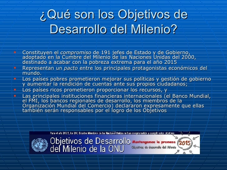 Los Objetivos Del Milenio