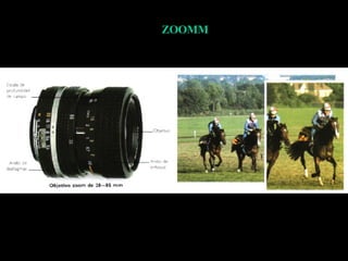 ZOOMM 