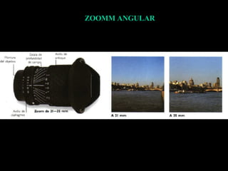 ZOOMM ANGULAR 