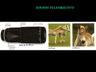 ZOOMM TELEOBJETIVO 