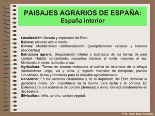 PAISAJES AGRARIOS DE ESPAÑA:
                        España interior

Localización: Meseta y depresión del Ebro.
Relieve: elevada altitud media.
Climas: Mediterráneo continentalizado (precipitaciones escasas y heladas
abundantes)
Estructura agraria: Despoblación interior y abandono de las tierras de peor
calidad. Hábitat concentrado, pequeños núcleos al norte, mayores al sur.
Minifundio al norte, latifundio al sur.
Agricultura: Tierras de secano dedicadas al cultivo de extensivo de la trilogía
mediterránea –trigo, vid y olivo- y regadío intensivo de forrajeras, plantas
industriales, frutas y hortalizas para la industria agroalimentaria.
Ganadería: En los secanos castellanos y de la depresión del Ebro dominan la
ganadería ovina, con importancia de la bovina para leche y la porcina. En
Extremadura cría extensiva de porcino (dehesas) y ovino. Ganado trashumante en
decadencia.
Silvicultura: leña, corcho, carbón vegetal.




                                                               Prof. Isaac Buzo Sánchez
 