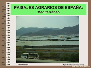 PAISAJES AGRARIOS DE ESPAÑA:
                      Mediterráneo




 Fotografía propia.                  Agricultura bajo plástico (Almería)
                                                   Prof. Isaac Buzo Sánchez
 