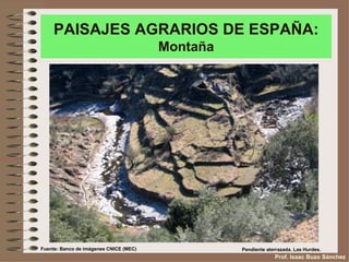 PAISAJES AGRARIOS DE ESPAÑA:
                                        Montaña




Fuente: Banco de imágenes CNICE (MEC)             Pendiente aterrazada. Las Hurdes.
                                                               Prof. Isaac Buzo Sánchez
 