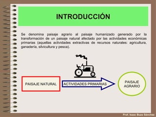 INTRODUCCIÓN

Se denomina paisaje agrario al paisaje humanizado generado por la
transformación de un paisaje natural afectado por las actividades económicas
primarias (aquellas actividades extractivas de recursos naturales: agricultura,
ganadería, silvicultura y pesca).




                                                                PAISAJE
  PAISAJE NATURAL         ACTIVIDADES PRIMARIAS
                                                                AGRARIO




                                                                Prof. Isaac Buzo Sánchez
 