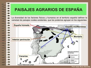 PAISAJES AGRARIOS DE ESPAÑA
La diversidad de los factores físicos y humanos en el territorio español definen la
variedad de paisajes rurales existentes, que los podemos agrupar en los siguientes:

  España húmeda
                                                           España mediterránea



                                                                    Montaña
Interior peninsular




        Canarias



      Fuente: Elaboración propia
                                                                  Prof. Isaac Buzo Sánchez
 