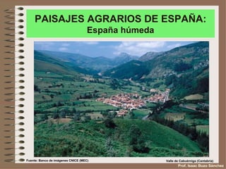 PAISAJES AGRARIOS DE ESPAÑA:
                                    España húmeda




Fuente: Banco de imágenes CNICE (MEC)               Valle de Cabuérniga (Cantabria)
                                                           Prof. Isaac Buzo Sánchez
 