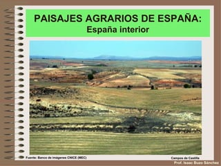 PAISAJES AGRARIOS DE ESPAÑA:
                                        España interior




Fuente: Banco de imágenes CNICE (MEC)                     Campos de Castilla
                                                           Prof. Isaac Buzo Sánchez
 