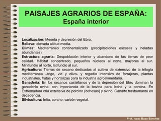 PAISAJES AGRARIOS DE ESPAÑA:
                        España interior

Localización: Meseta y depresión del Ebro.
Relieve: ...