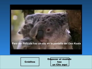 Para ver Película haz un clic en la pantalla del Oso Koala Empezar el modulo  haz  un Clic aquí Créditos 